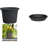 tera Pflanzgefäß "Basic Round", Durchm.: 250 mm, anthrazit