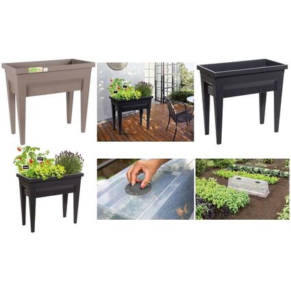 EDA Hochbeet "VEG&Table" City, taupe
