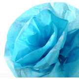 CANSON Seidenpapier-Rolle, 0,5 x 5,0 m, 20 g/qm, trkis
