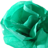 CANSON Seidenpapier, Mae: 0,5 x 5,0 m, 20 g/qm, grasgrn