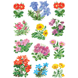 HERMA sticker DECOR "Gebirgsblumen"