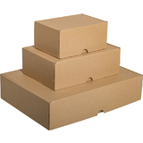 SMARTBOXPRO Maxibriefkarton, (B)176 x (T)118 x (H)80 mm