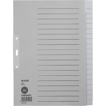 LEITZ Tauenpapier-Register, blanko, A4 berbreite, 20-teilig