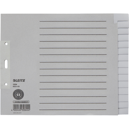 LEITZ Tauenpapier-Register, blanko, A4 berbreite, 15-teilig