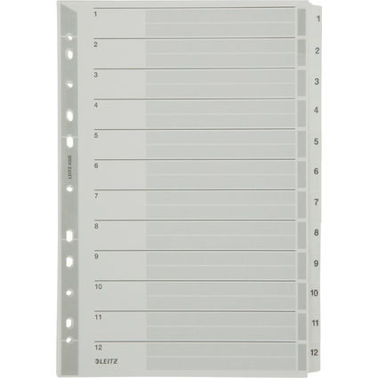 LEITZ Mylarkarton-Register, Zahlen, A4, 1-12, 12-teilig,grau