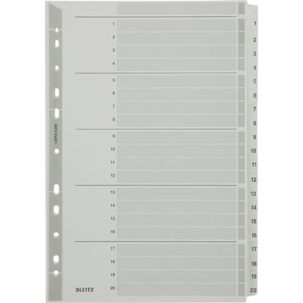 LEITZ Mylarkarton-Register, Zahlen, A4, 1-20, 20-teilig,grau