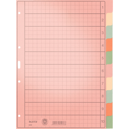 LEITZ Tauenpapier-Register, blanko, A4, 10-teilig,mehrfarbig