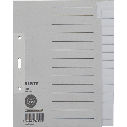LEITZ Tauenpapier-Register, blanko, A5, 15-teilig, grau