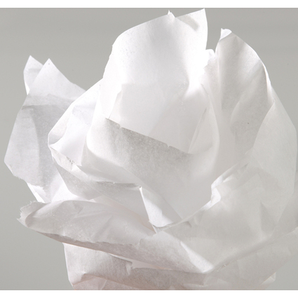 CANSON Seidenpapier, wei, Mae: 0,5 x 5,0 m, 20 g/qm