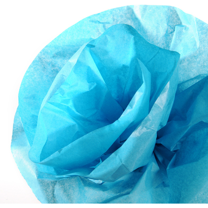 CANSON Seidenpapier-Rolle, 0,5 x 5,0 m, 20 g/qm, trkis