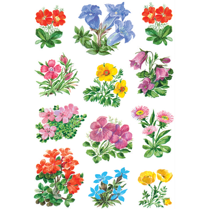 HERMA Sticker DECOR "Gebirgsblumen"