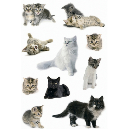 HERMA Sticker DECOR "Katzenfotos"