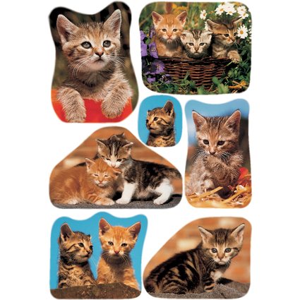 HERMA Sticker DECOR "Katzenfotos"
