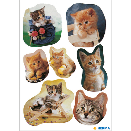 HERMA Sticker DECOR "fotogene Ktzchen"