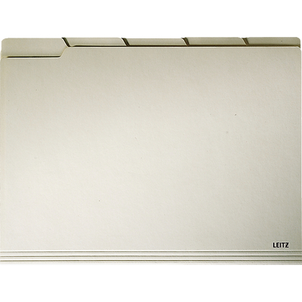 LEITZ Einstellmappe, mit Taben, A4, chamois