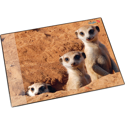 Läufer Schreibunterlage Erdmännchen, 400 x 530 mm