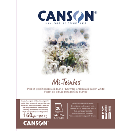 CANSON Zeichenpapier Mi-Teintes, im Block, 240 x 320 mm