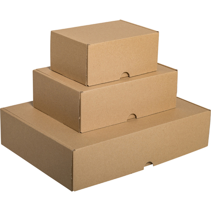 SMARTBOXPRO Maxibriefkarton, (B)176 x (T)118 x (H)80 mm