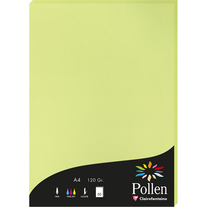 Pollen by Clairefontaine Papier DIN A4, knospengrün