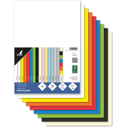 kangaro Multifunktionspapier, DIN A4, 160 g/qm, sortiert