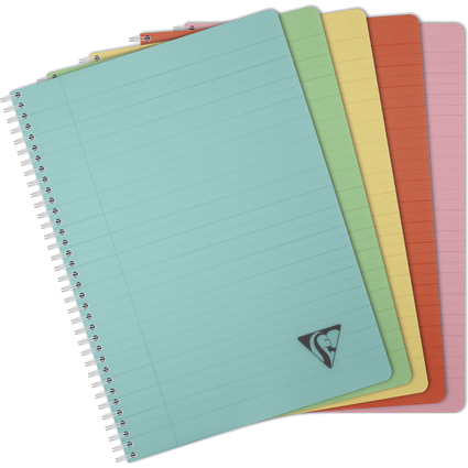 Clairefontaine Spiralbuch LINICOLOR, DIN A4, sortiert