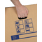 tidyPac Transportbox Bücherbox