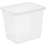 plast team Aufbewahrungsbox basic BOX, 31,0 Liter