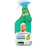Meister proper Sprhen-Wischen-Fertig spray Antibakteriell