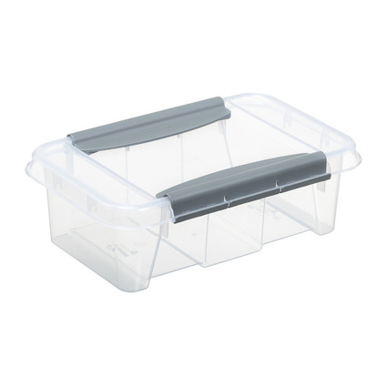 plast team Aufbewahrungsbox PROBOX, 3,0 Liter