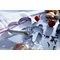GastroMax Ausstechformen Weihnachten, 5er Set, Edelstahl