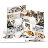HERMA eckspannermappe "Katzen", aus Karton, din A3