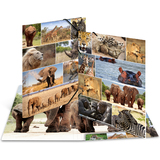 HERMA eckspannermappe "Afrika Tiere", aus Karton, din A3