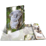 HERMA eckspannermappe "Koala", pp Glossy, din A3