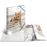 HERMA eckspannermappe "Katzen", pp Glossy, din A3