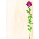 sigel Design-Papier, din A4, 90 g/qm, motiv "Rose Bloom"