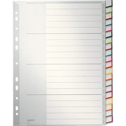 LEITZ Kunststoff-Register, blanko, A4 berbreite, 20-teilig