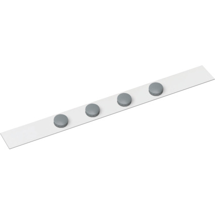 MAUL Ferroleiste standard, wei, Mae: (B)50 x (H)1.000 mm