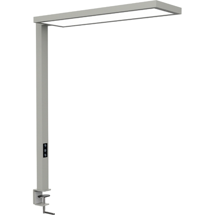 MAUL LED-Tischaufbauleuchte MAULsenja, dimmbar, silber