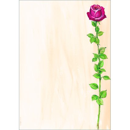 sigel Design-Papier, DIN A4, 90 g/qm, Motiv "Rose Bloom"