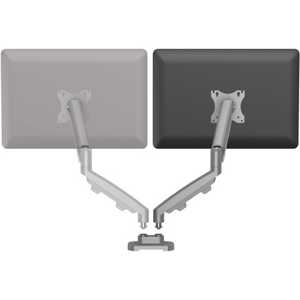 Fellowes Doppel-Monitorarm-Set Eppa, silber