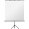 magnetoplan Stativ-Leinwand Standard, (B)1.800 x (H)1.800 mm