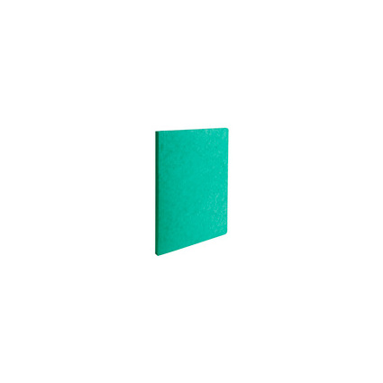 EXACOMPTA Aktendeckel LUSTRO, 240 x 320 mm, grün